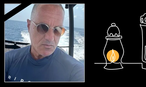 cub yoav stern png