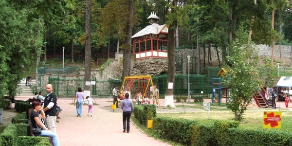 zoopiatra FOTO Dan Sofronia