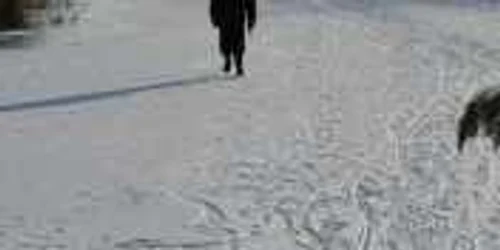 Delta s-a transformat într-un patinoar imens