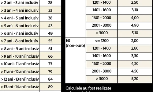 De noua reglementare nu scapă nici cei care au câştigat în instanţă restituirea sau înmatricularea fără plata taxei de poluare în vigoare în ultimii ani  jpeg
