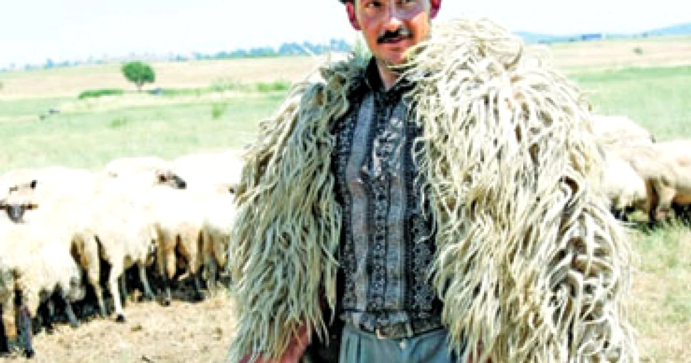 „Răvăşitul oilor” , distracţie cu pastramă şi bulz