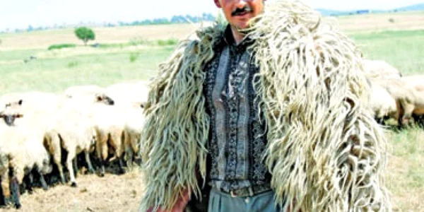 „Răvăşitul oilor” , distracţie cu pastramă şi bulz