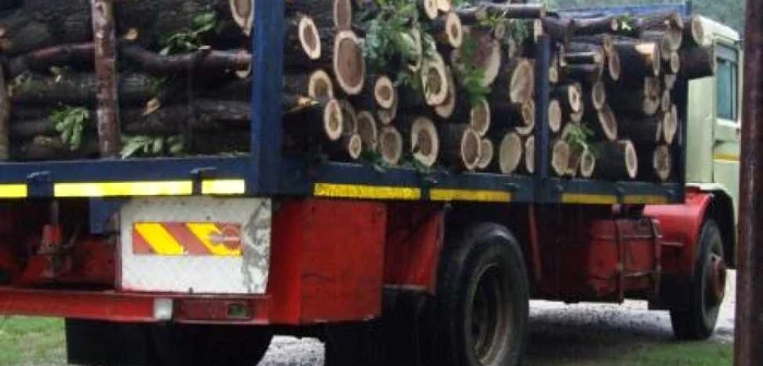 Şoferul nu avea aviz pentru lemnele pe care le transporta foto arhivă