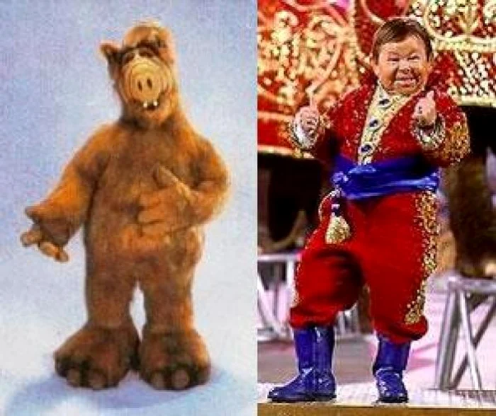 michu meszaros alf, michu meszaros transformare, michu meszaros masca