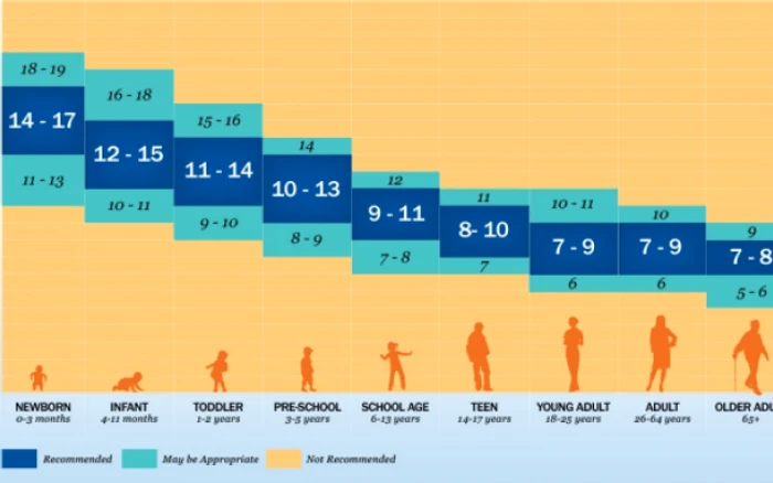 infografie somn