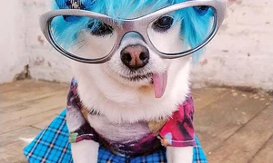 Văd viața  în culori    jpeg