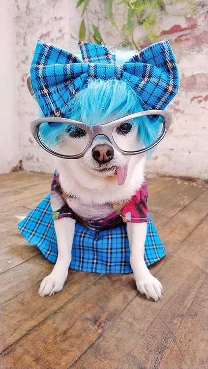 Văd viața în culori...