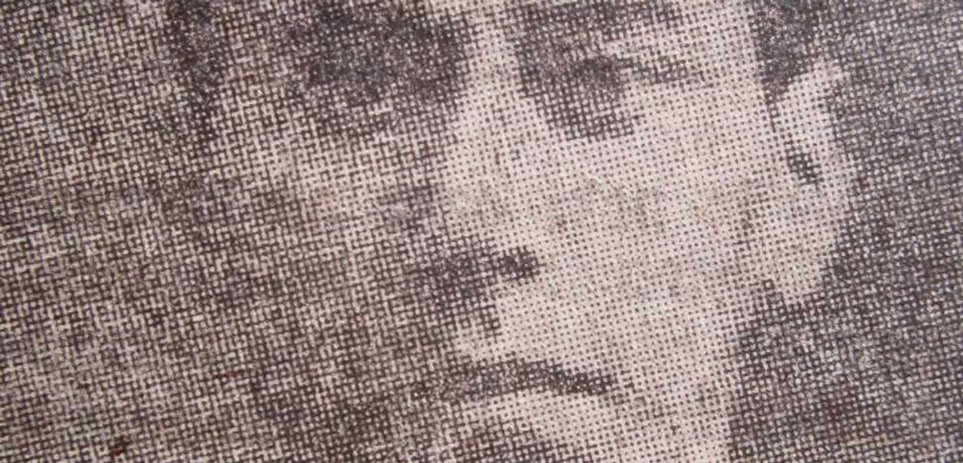 „Profesorul” Constantin Ştefănescu