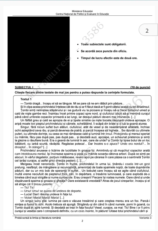 subiecte romana evaluarea nationala 2024