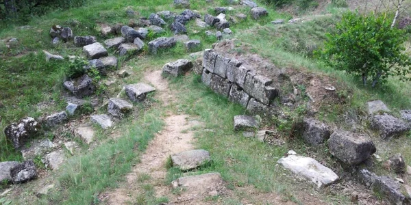 capalna alba