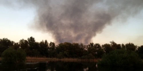 incendiu crisan tulcea