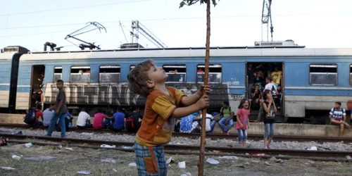 Un copil se tine de un pom in timp ce ceilalti imigranti asteapta ca trenul se plece in directia Macedonia.FOTO AP