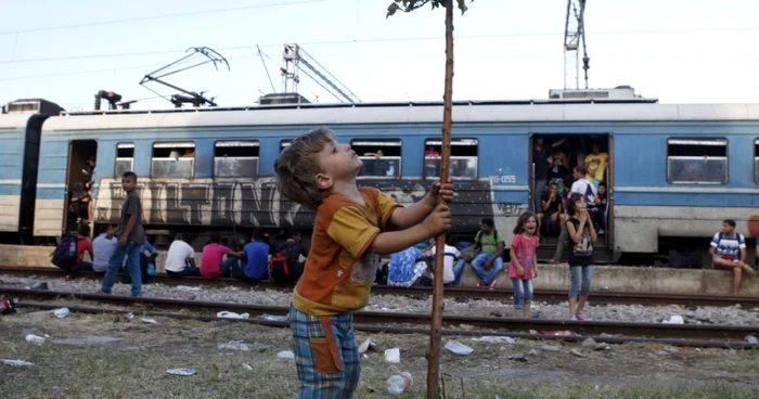 Un copil se tine de un pom in timp ce ceilalti imigranti asteapta ca trenul se plece in directia Macedonia.FOTO AP