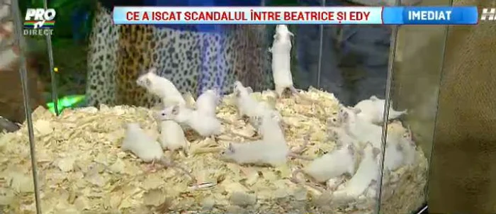 Mama cântăreţului s-a speriat de moarte când a văzut pe ce a pus mâna