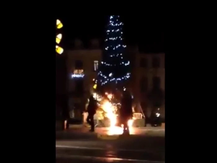 Bradul de Crăciun a ars ca o torţăcaptură video