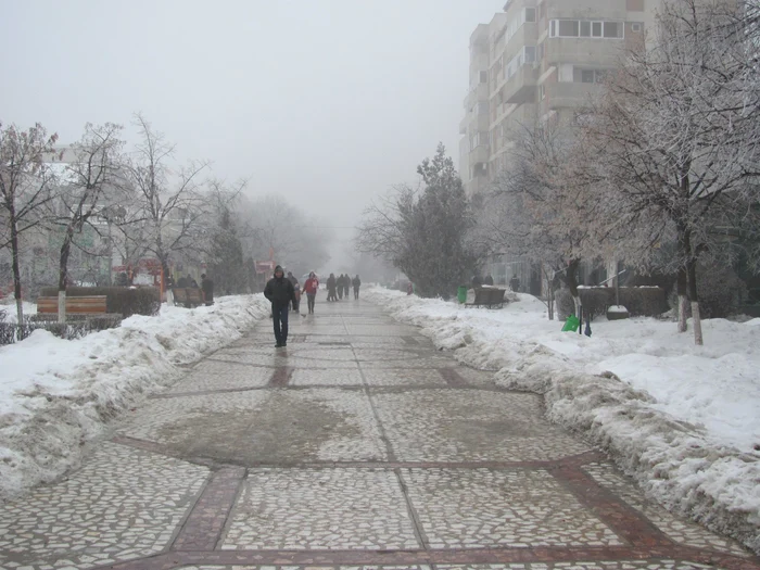 Alexăndrenii vor avea parte de o noapte rece foto: Claudiu Dumitrache