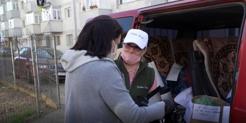 gradina verde legume proaspte 
