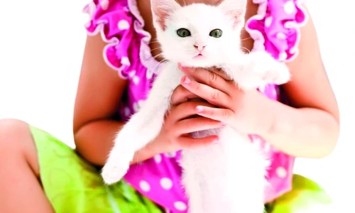 1 46496 original jpg jpeg