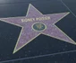 Imagini din viata actor american Sidney Poitier stea walk of fame FOTO Shutterstock