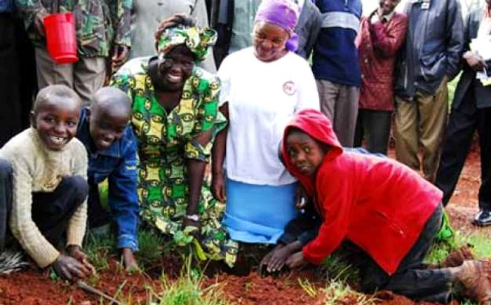 Mişcarea Green Belt a plantat peste 30 de milioane de copaci în Africa