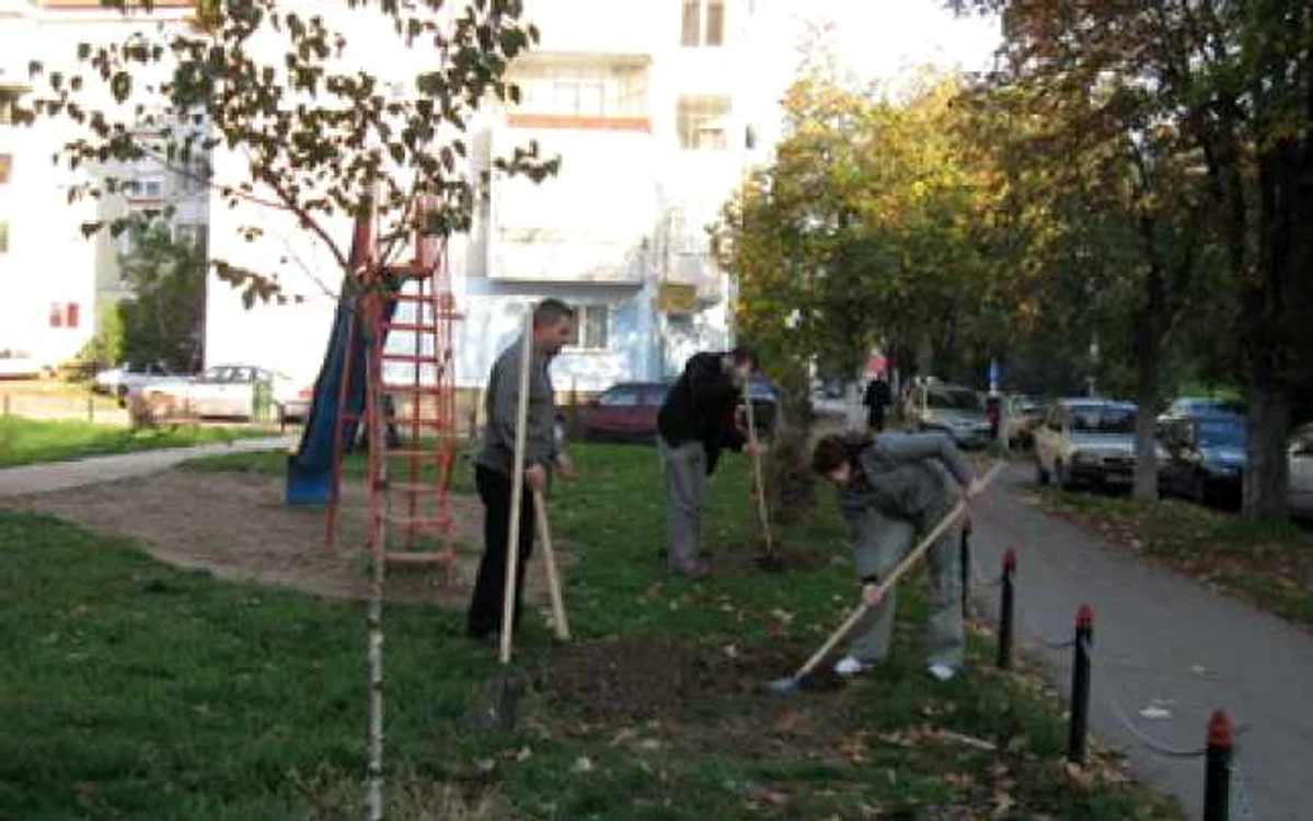 Oradea: Poftiți la puieți!