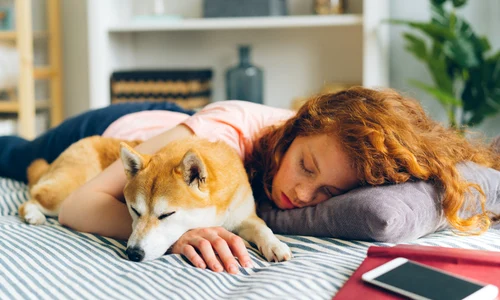 shutterstock 1454471561 jpg