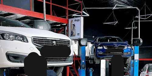 Nicolae Neagu Self Service (8) jpg