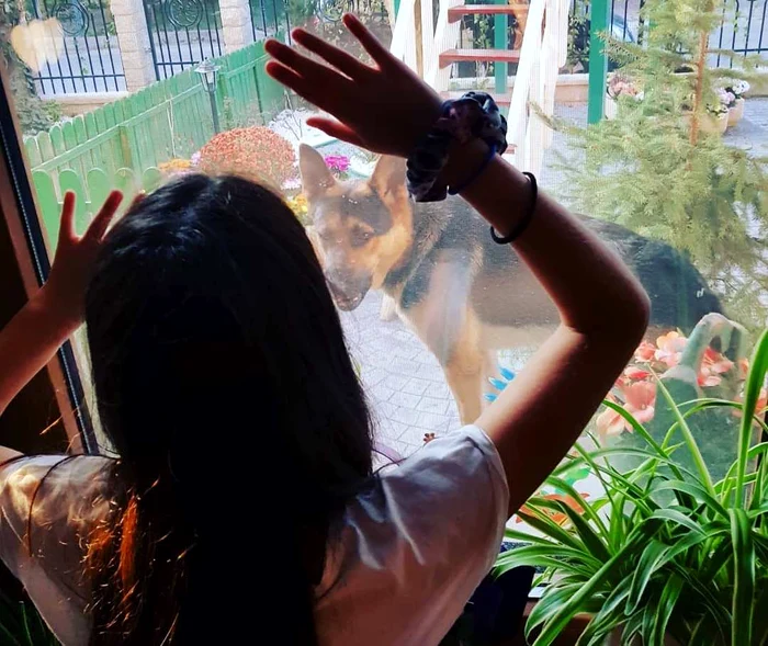 Violeta este o adevărată domnişoarăfoto: MIhai Ionescu