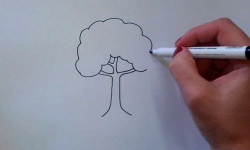 1 test copac personalitate copii jpg jpeg