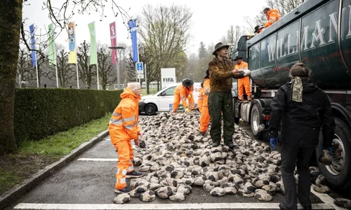 Cupa mondiala protest zurich jpg