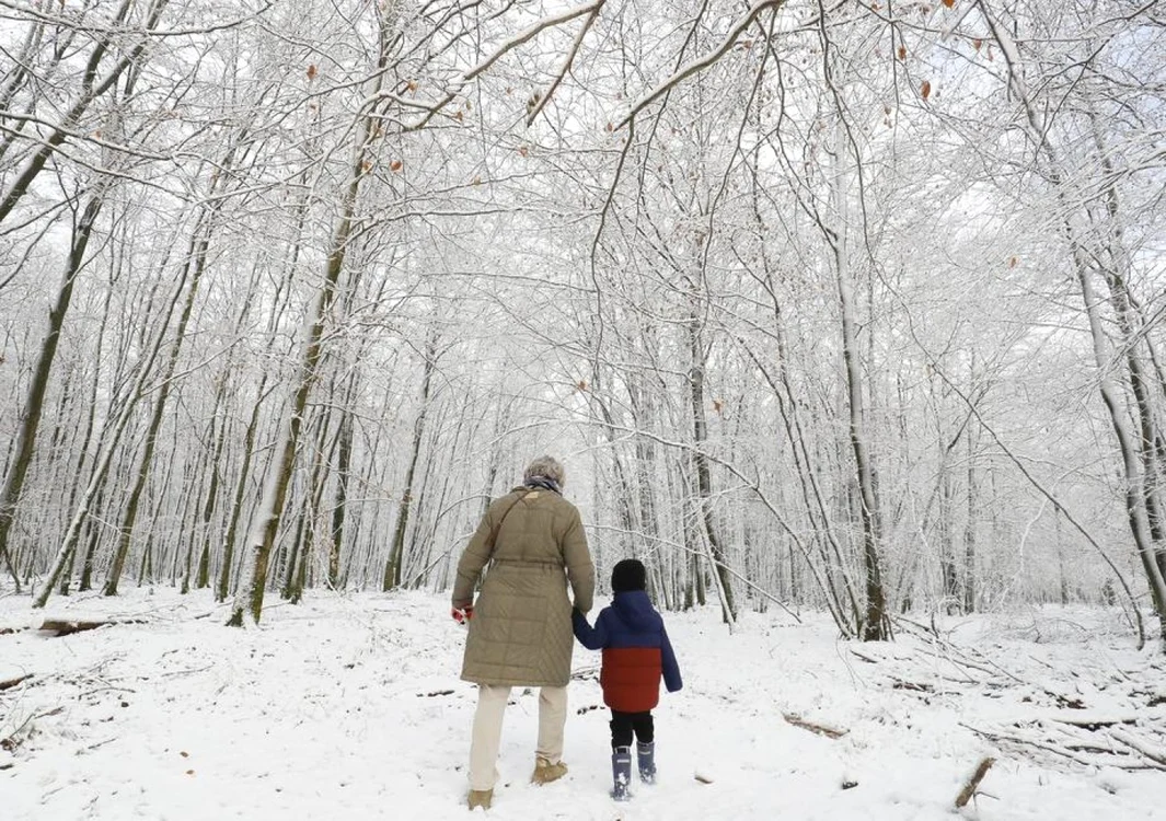 Zăpadă în Saint-Hubert Belgia decembrie 2021 FOTO EPA-EFE