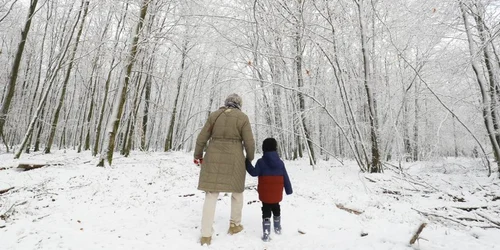 Zăpadă în Saint-Hubert Belgia decembrie 2021 FOTO EPA-EFE