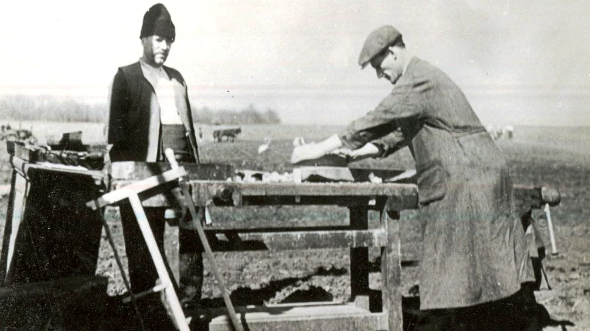 Agricultura comunistă de râsul țăranilor persecutați jpeg