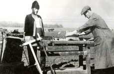 Agricultura comunistă de râsul țăranilor persecutați jpeg