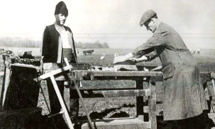 Agricultura comunistă de râsul țăranilor persecutați jpeg