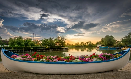 1 shutterstock 1419884591 jpg jpeg