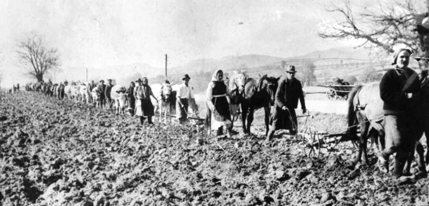 Procesul colectivizăzii a început în 1949