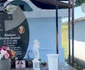 mormânt denisa răducu 2 png