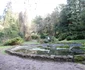 Parcul Dendrologic din Simeria Foto Daniel Guță ADEVĂRUL (10) JPG