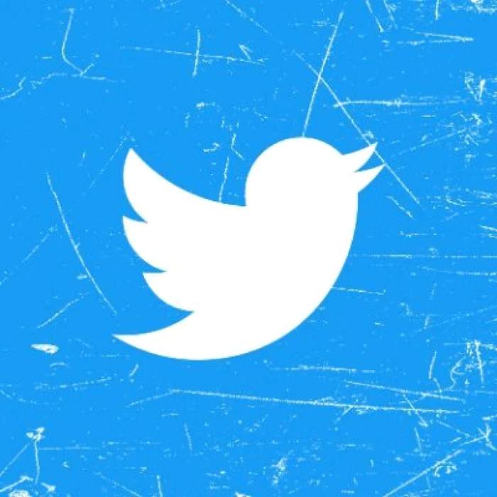 Următorul CEO ar trebui să îndeplinească obiectivele interne „agresive” ale Twitter. Foto: Arhivă