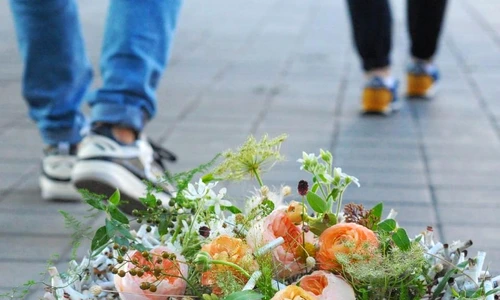 1 1000 de mucuri de tigara jpg jpeg