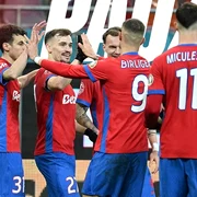 fcsbmetaloglobus jpg