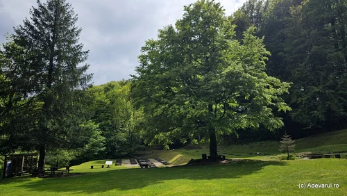 Sarmizegetusa Regia Foto Daniel Guță ADEVĂRUL (14) jpg