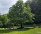 Sarmizegetusa Regia   Foto Daniel Guță ADEVĂRUL (14) jpg