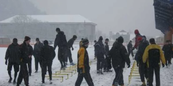 Nemţenii se antrenează pe suprafaţa sintetică, să protejeze gazonul de pe arena centrală