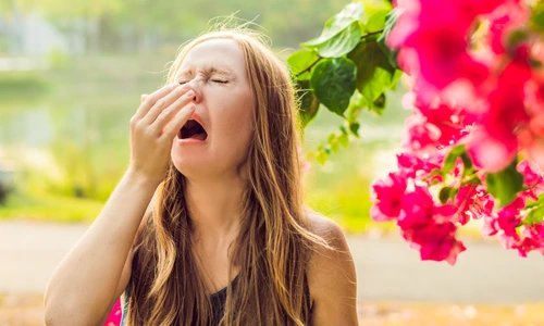 1 shutterstock 1054239530 jpg jpeg