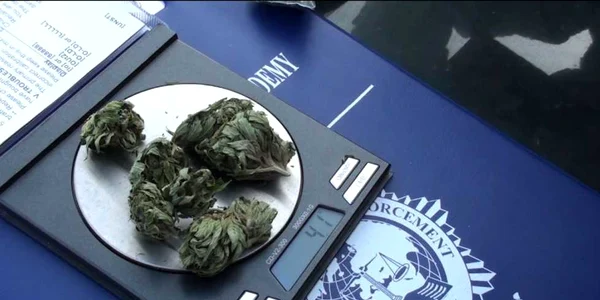 Un adolescent din Ştei cultiva cannabis în grădina blocului 