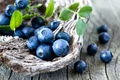 Afine FOTO Shutterstock 