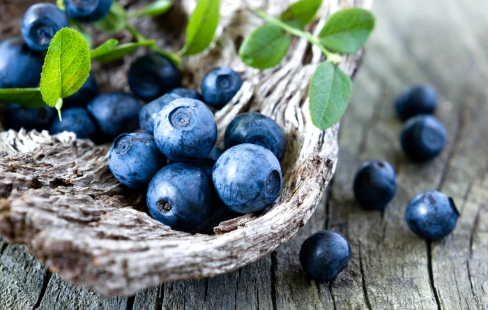 Cum să speli afinele pentru a le păstra proaspete mai mult timp / foto: Shutterstock