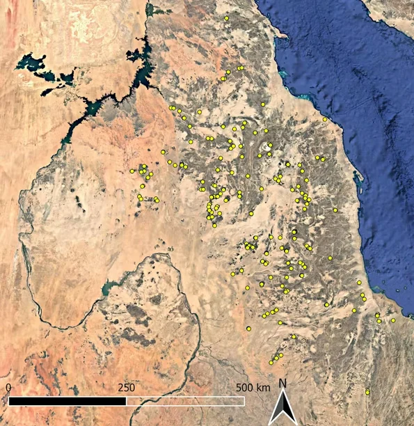 Sute de situri funerare în incinte, descoperite în estul Sudanului (© Google Earth, hartă compilată în QGIS)